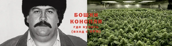 таблы Вяземский