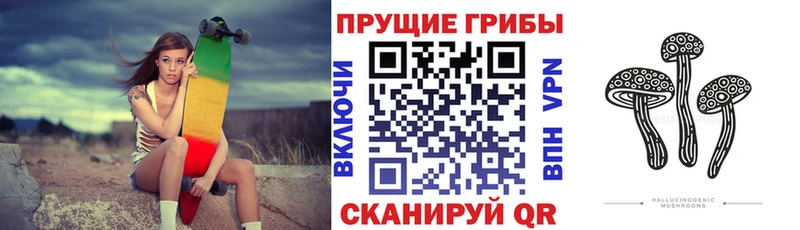 Псилоцибиновые грибы ЛСД Ессентуки