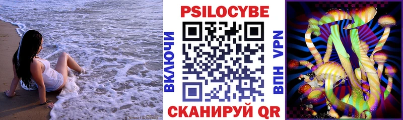 сколько стоит  Ессентуки  Галлюциногенные грибы Psilocybe 